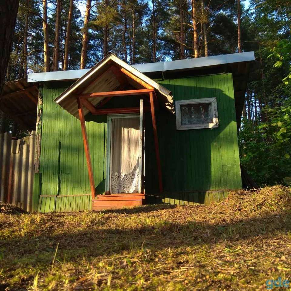 Отдых на Браславских озерах, д.Дубки, фотография 4