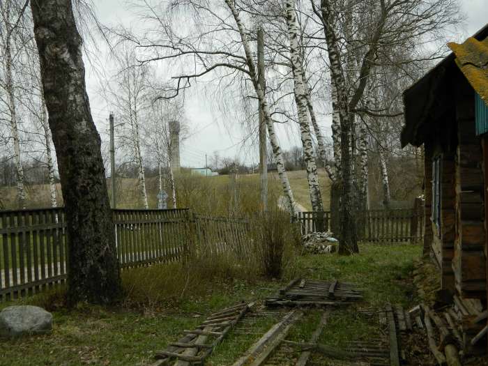 Продается земельный участок, Могилевская обл. Горецкий р-н д.Шишево, фотография 9