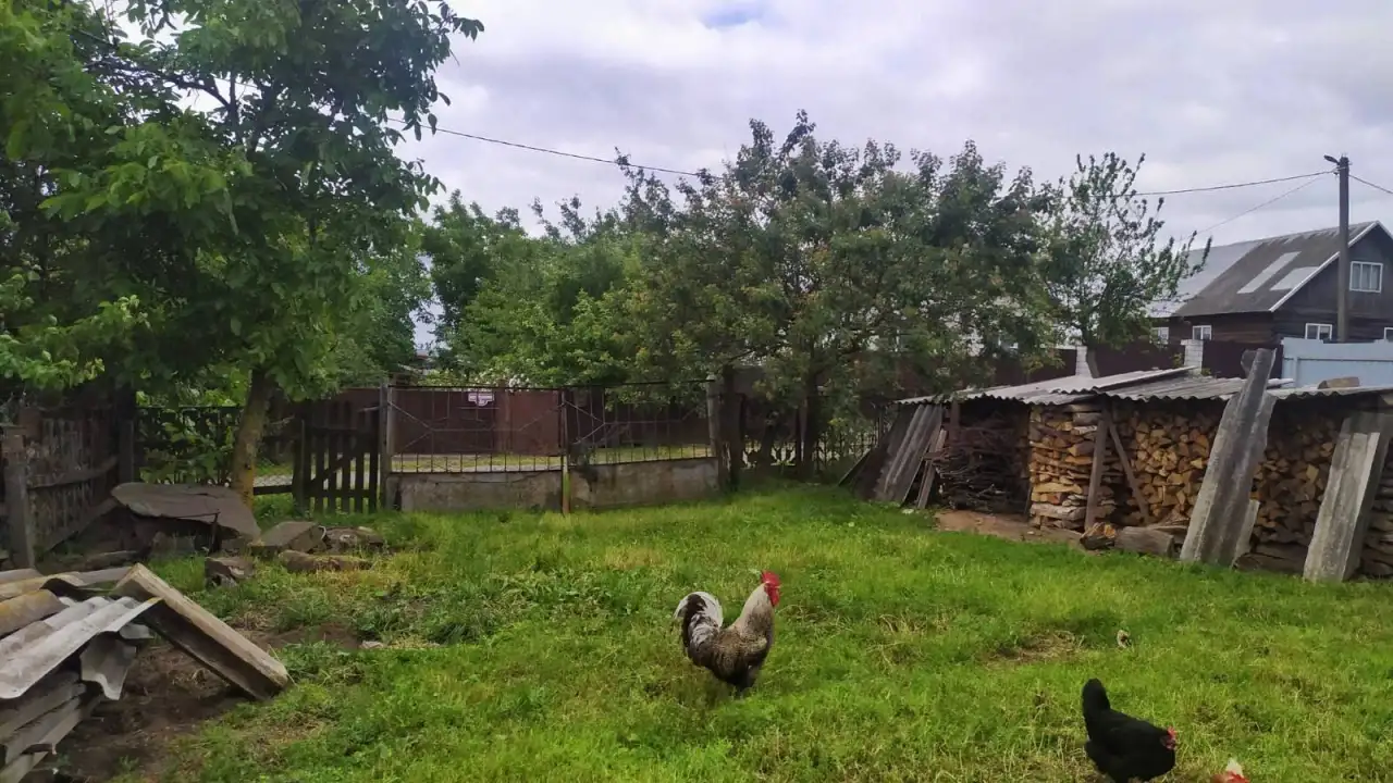 Продам дом в деревне Булавки, фотография 10