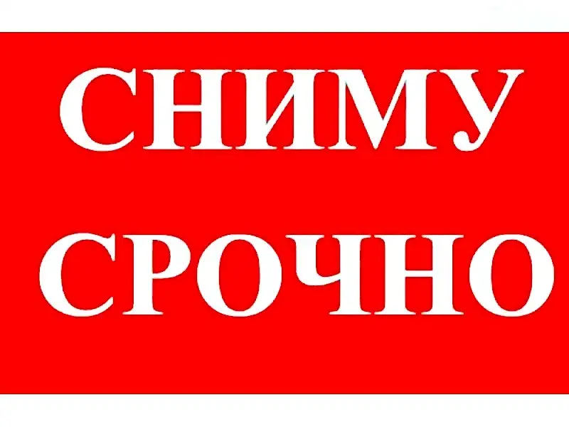 Интеллигентная семейная пара в поисках жилья!, фотография 1