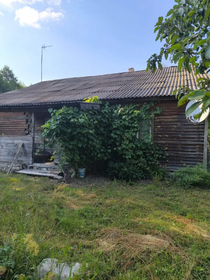 Продам дом у реки Птич!, Могилевская, фотография 6
