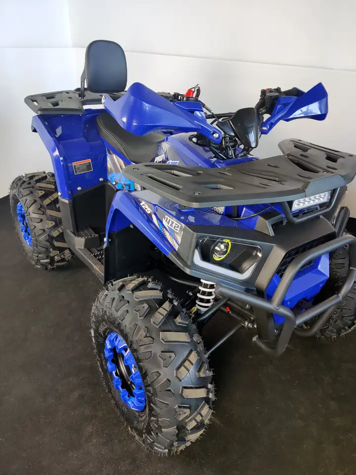 Квадроцикл amoto shark 125, фотография 3
