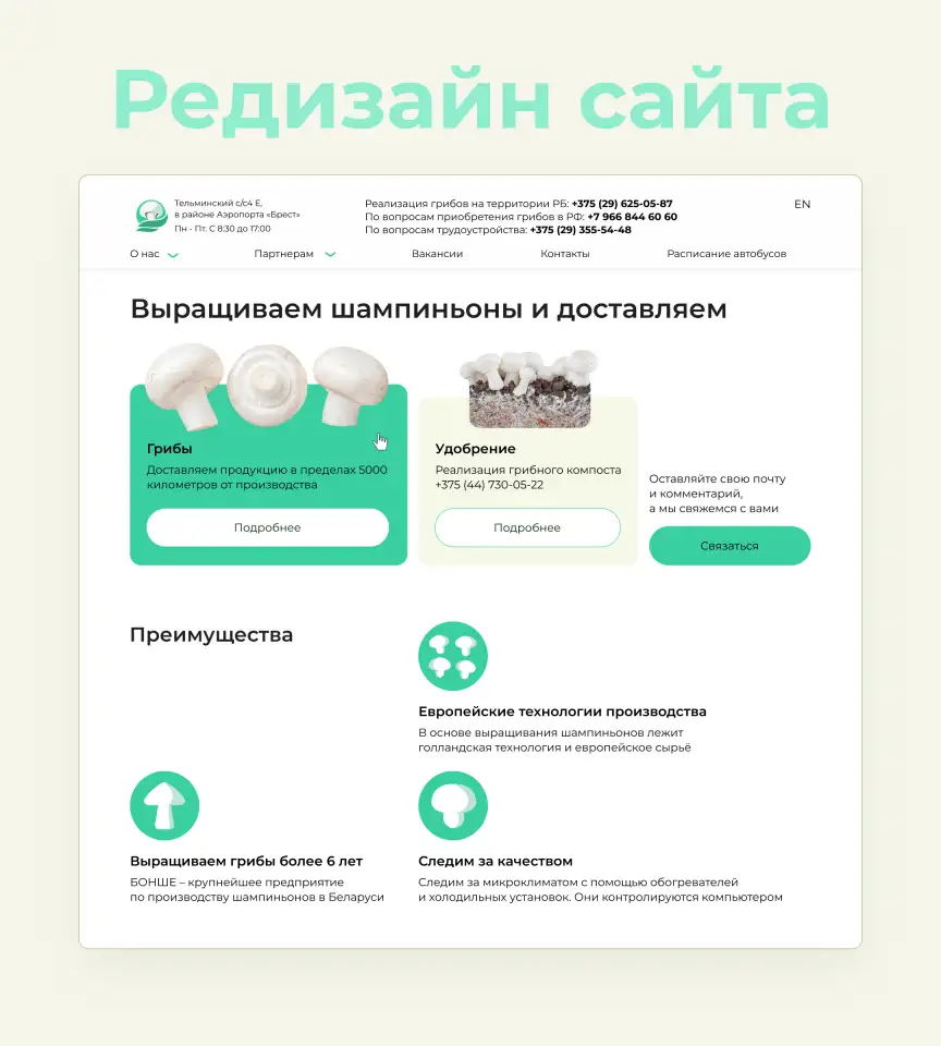 Создам дизайн сайта, баннера, фотография 5