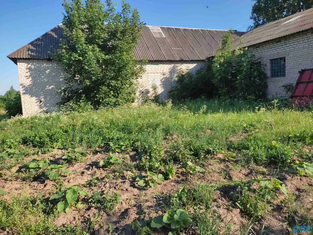 Продажа бани, Барановиский р-н, д.Перховичи, Ул.Центральная, 28, фотография 8