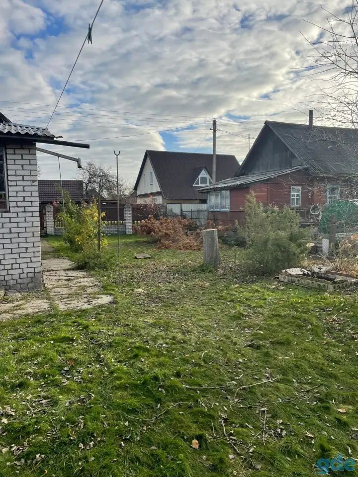 Спил деревьев, фотография 2