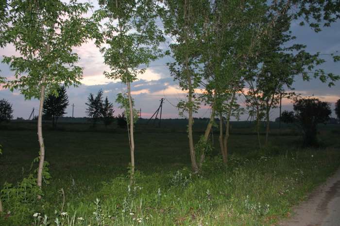 Дом в городском поселке, ул. Суражская, фотография 12