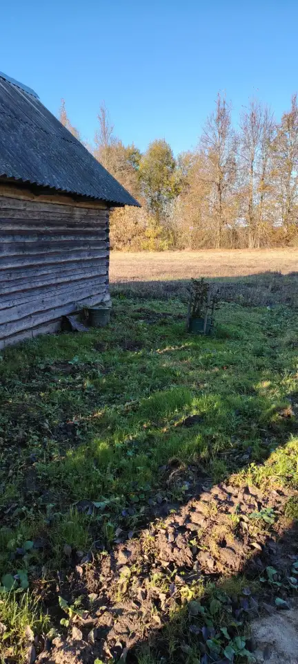 Продажа жилого дома в живописном месте с видом на лес, фотография 11