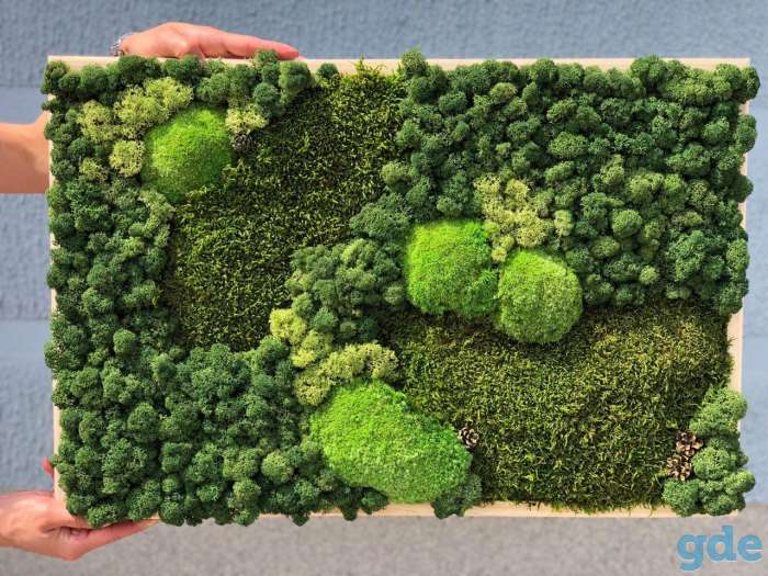 Картина из стабилизированного мха, фотография 1