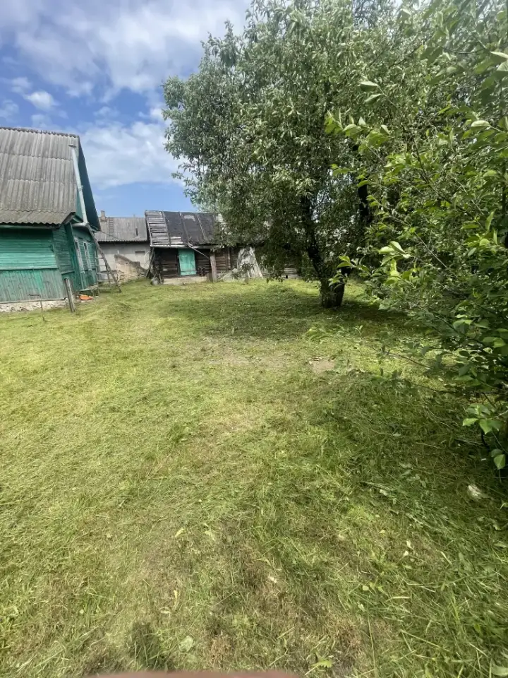 Покос травы, бурьяна, фотография 11