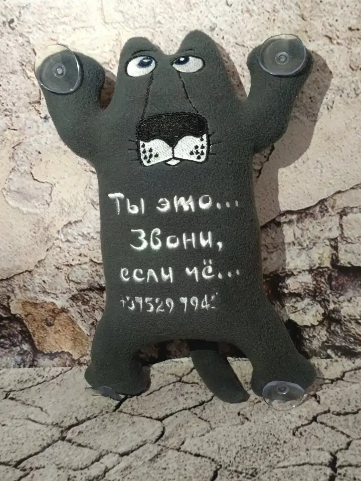 Кот в машину с номером телефона, фотография 3