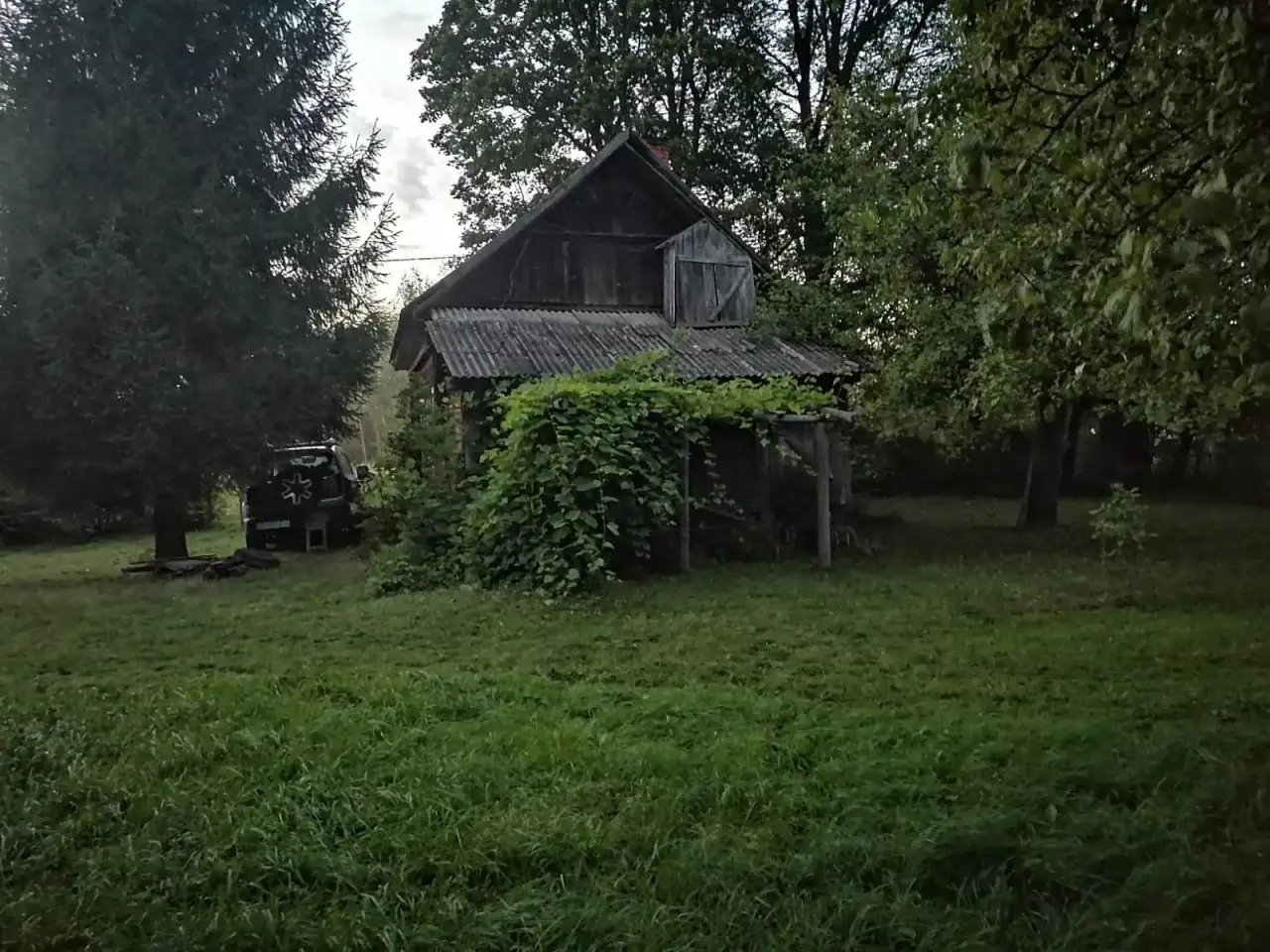 Бревенчатый дом в лесу у ручья деревни Сусловка, фотография 10