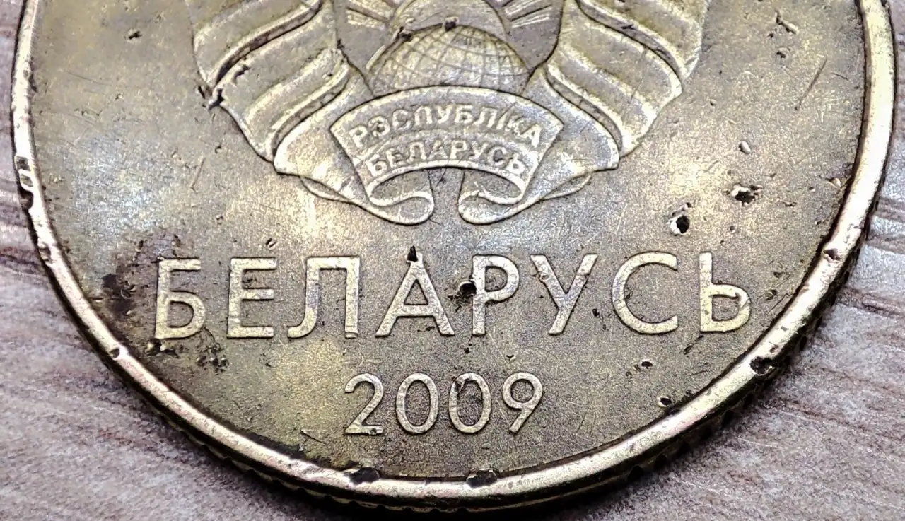 50 копеек 2009 РБ Засор штемпелей аверса и реверса, фотография 5