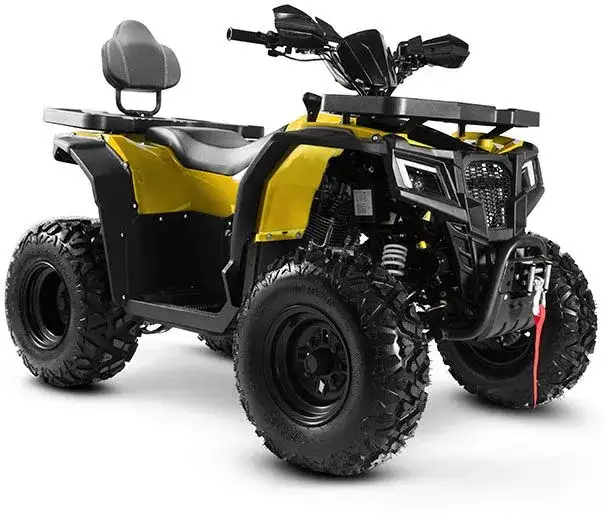 Квадроцикл Progasi RaceJumper 200 (к-т з/ч), фотография 10