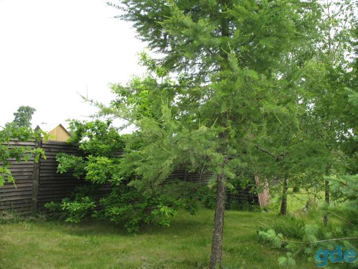 Продается дом в Лисно, фотография 9