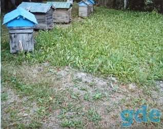 Продажа деревенского дома, Молодечненский рон с/с Городилово д.Солтаны, фотография 3