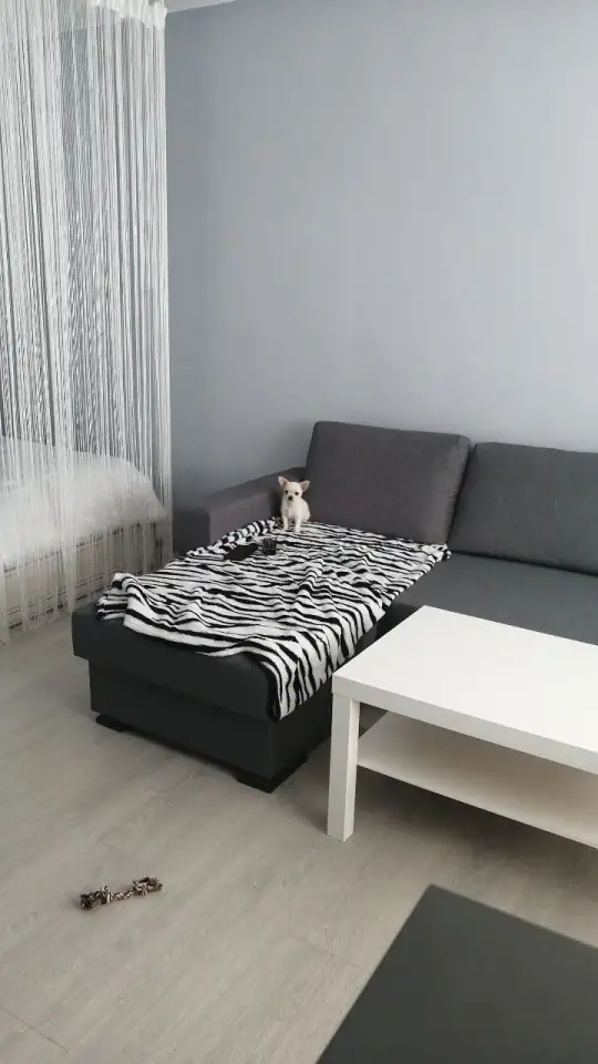 Сдам квартиру студию, Советская 13, фотография 4