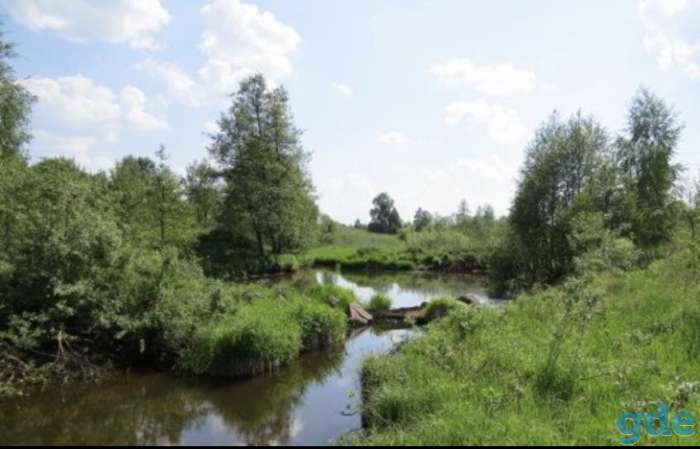 Продам землю 50 соток, фотография 2
