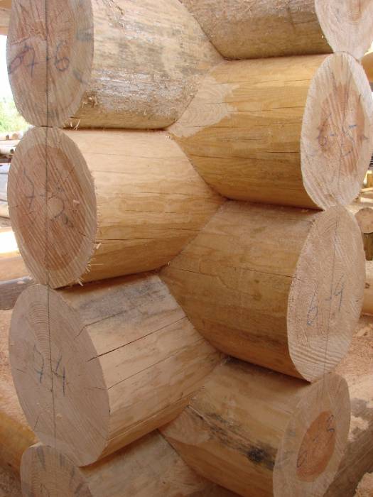 Срубы домов,бань,беседок из бревна ручной оцилиндровки., фотография 5