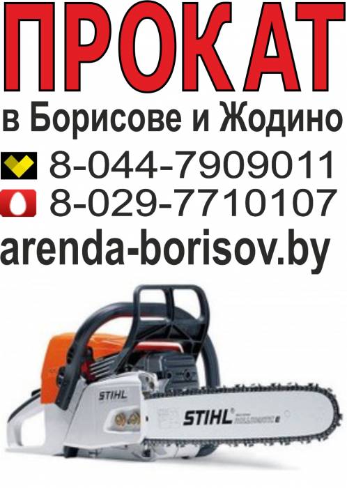Прокат бензопилы и Аренда бензопилы в Борисове Жодино, фотография 1