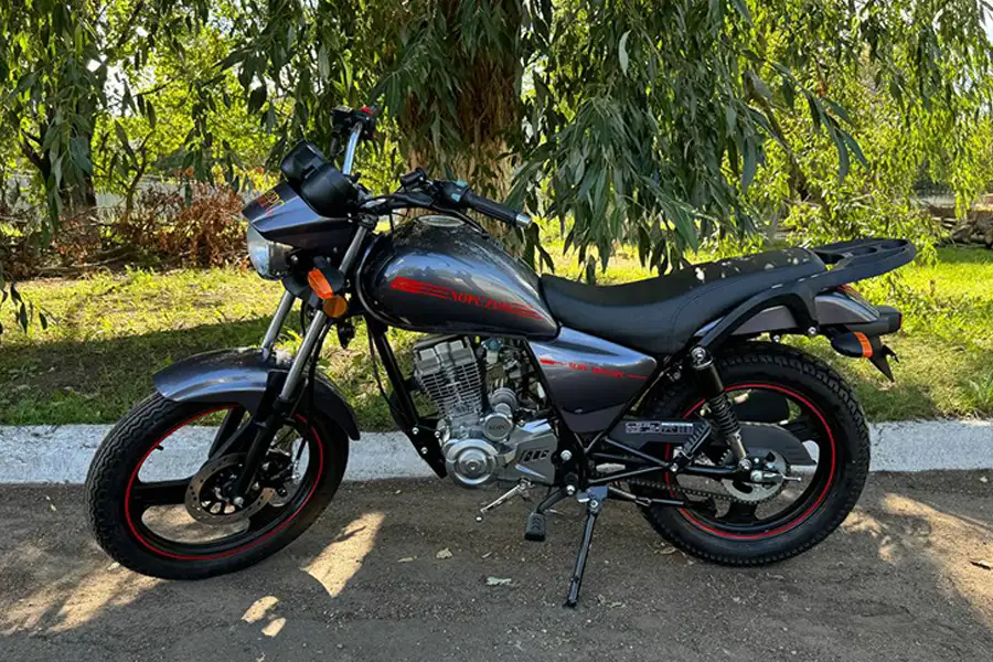 Мотоцикл Хорс Z 150 серый 150 см3, фотография 12