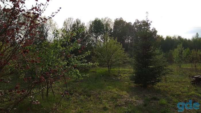 Фермерское хозяйство под Гродно, фотография 5