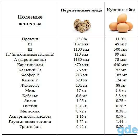 Яйцо перепелиное, фотография 2
