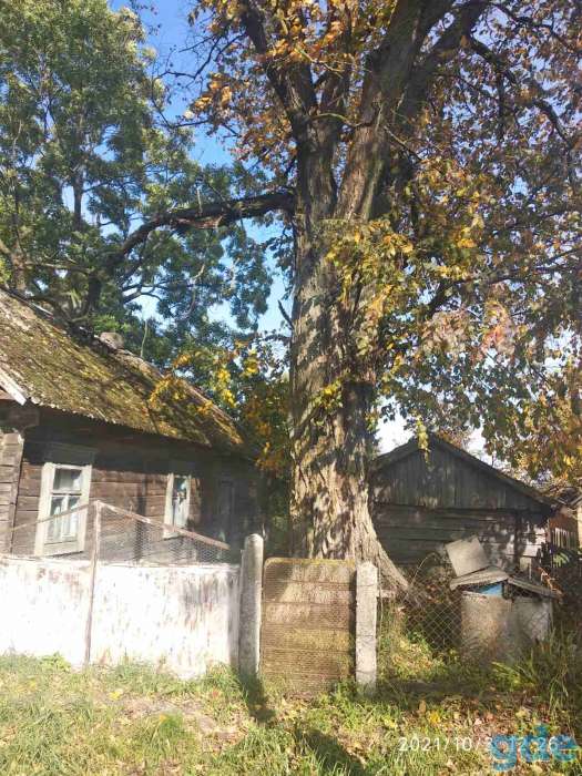 Продаю дом в деревне, ул.Партизанская, 25, д.Петровичи, Ивановский район Брестской области, фотография 5