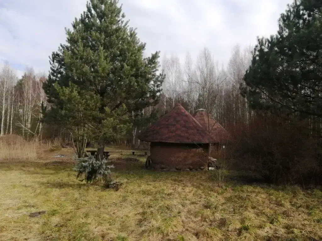 Участок кфх под Гродно для агроэкотуризма или сх, фотография 7