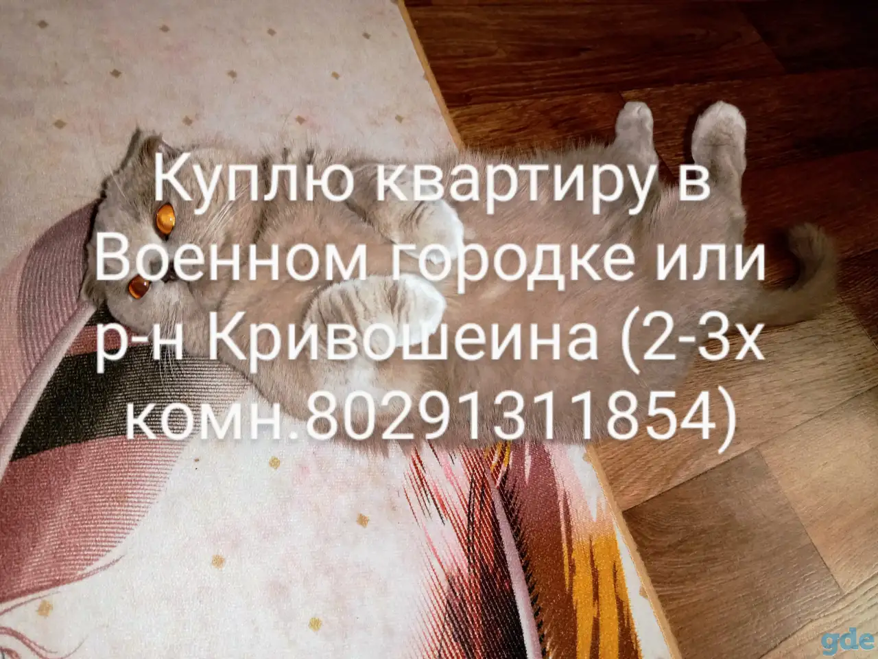 Куплю квартиру в Военном городке или р-н Кривошеина кирпичный дом (2-3 комнаты), фотография 1