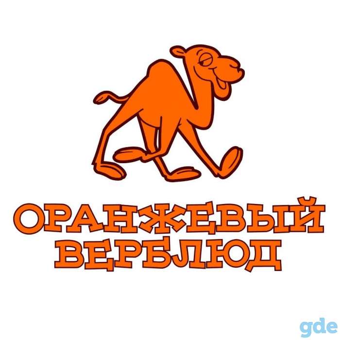 Продается интернет-магазин оранжевый верблюд с 12 летней историей, фотография 1