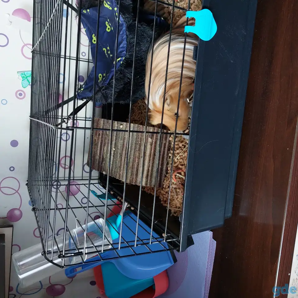 Продаем, фотография 5