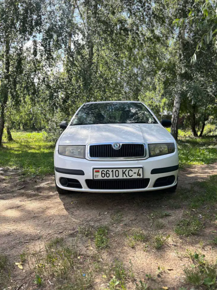 Продажа Skoda Fabia 6Y  Рестайлинг, 2006 г. в Гродно, фотография 4