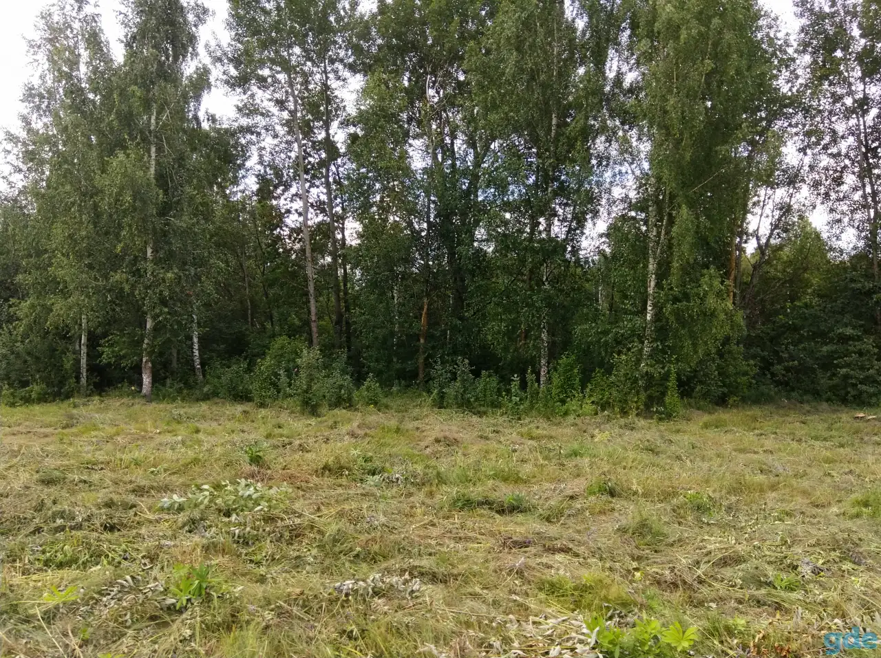 Продам участок со срубом, Витебский р-н, Вайханский сс, д. Мариамполь, ул. Новая 35Г, фотография 11
