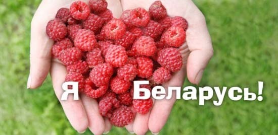 Экскурсии по Беларуси , фотография 2