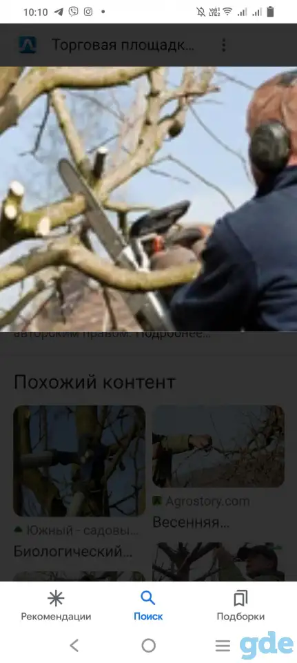 Обрезка деревьев. ПОКОС ТРАВЫ.НЕДОРОГО!!!, фотография 6