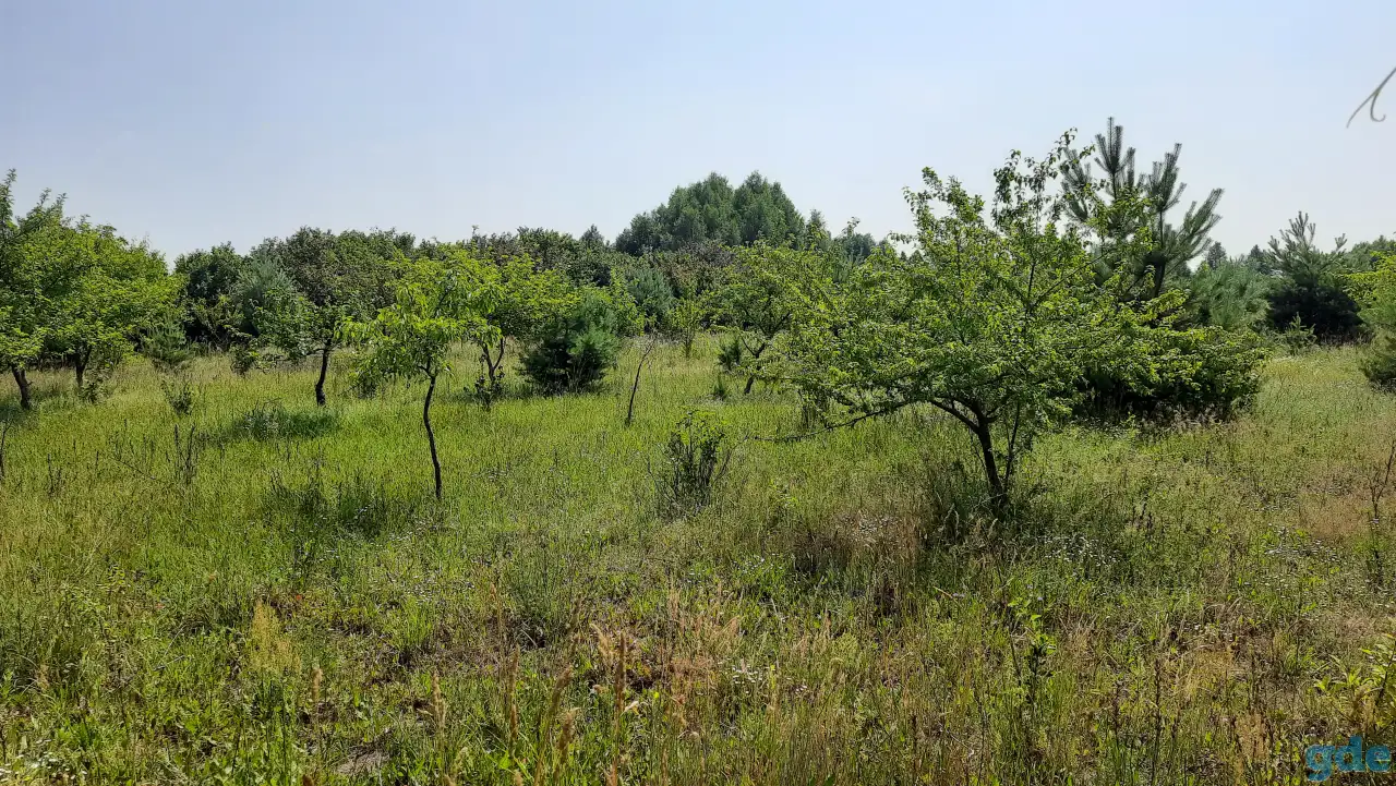 Продам фермерское хозяйство Перки, фотография 12