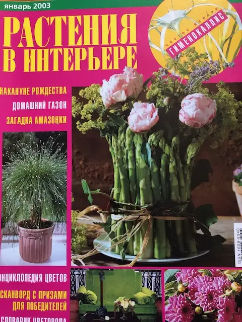 Продам журналы прошлых лет Мой прекрасный сад Сад своими руками Флора и др., фотография 3