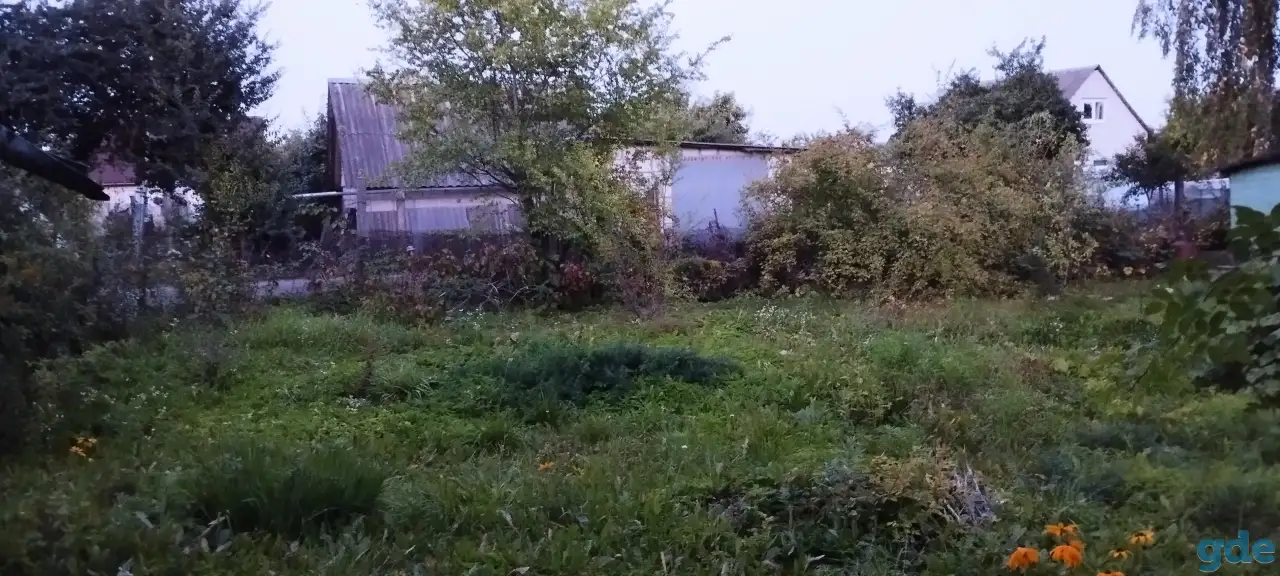 Продам участок, с/т 40 лет Октября,76А, фотография 4