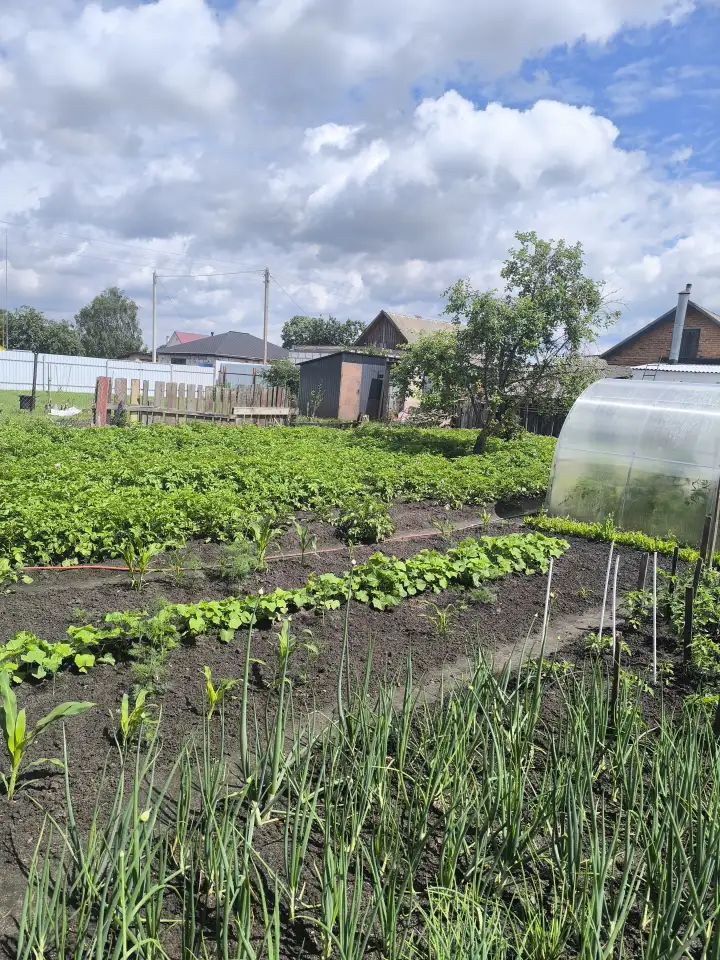 Продам дом, Гомельская область. Ул Интэрнациональная 29, фотография 18