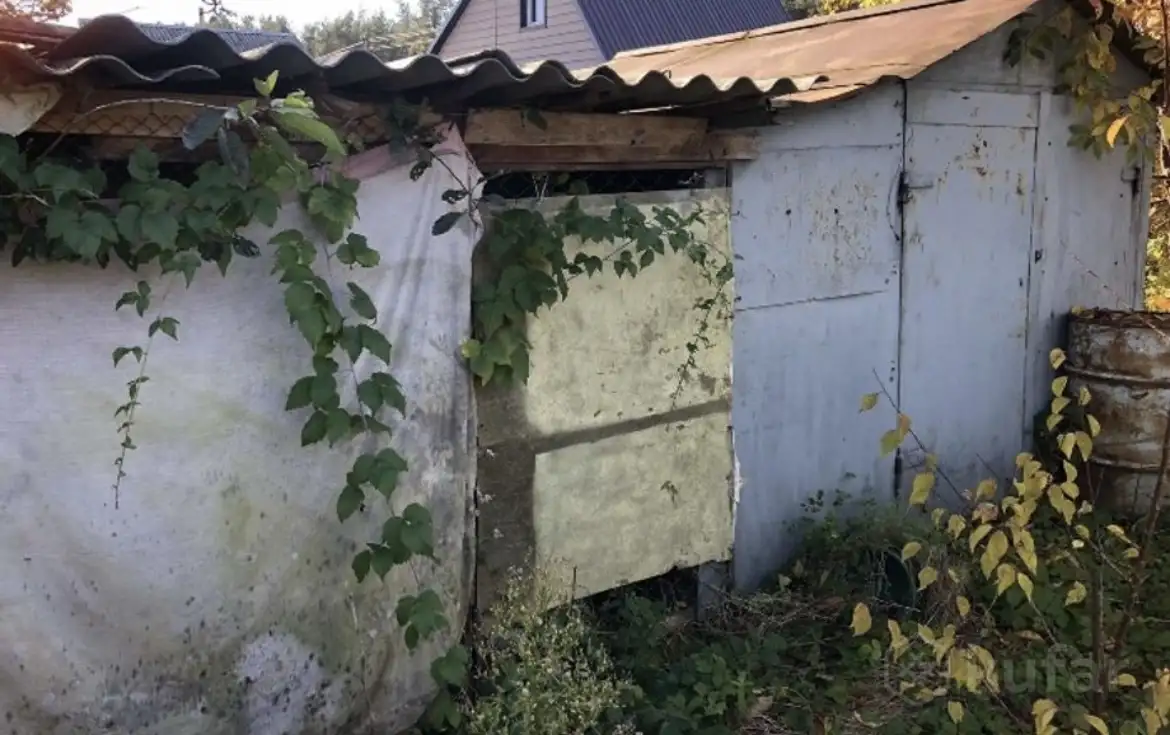 Продам дачный участок в 7 км от Ольшанки Гродно, фотография 9