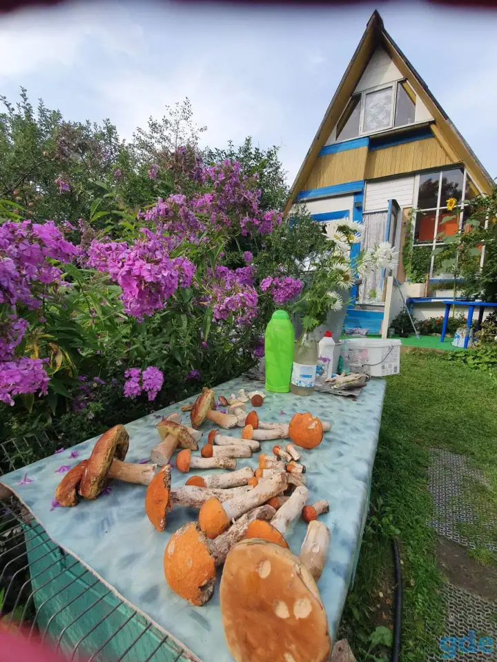 Продам дачу, Минская область деревня Стайки, фотография 3