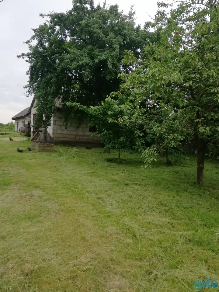 Дом с участком, Д. Пелище, ул, Октябрьская 153, фотография 4