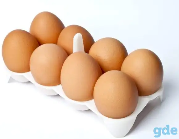 Домашнее куриное яйцо, фотография 1