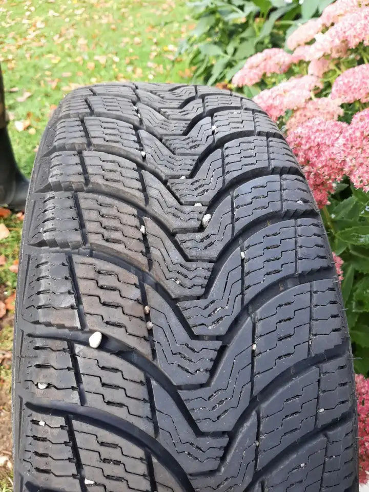 Зимние шины 20555R16 PREMIORRI VAAMAGGIORE 91T, фотография 3