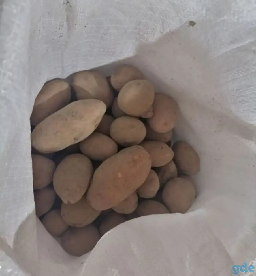 Картофель домашний, фотография 1