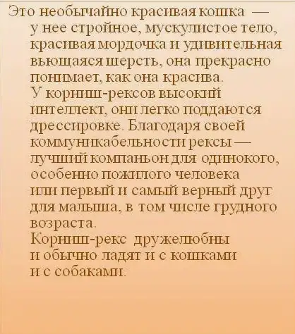 Передержка Домашних Питомцев, фотография 17