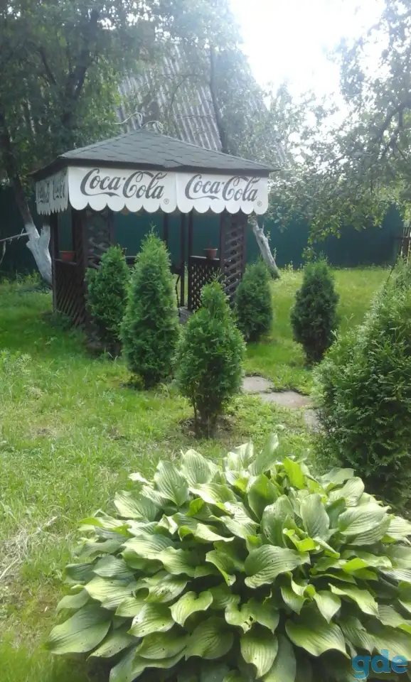 дача, терюха, фотография 9