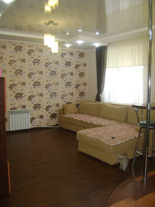 Дом в 3х минутах от центра, З.Портновой 6, фотография 7