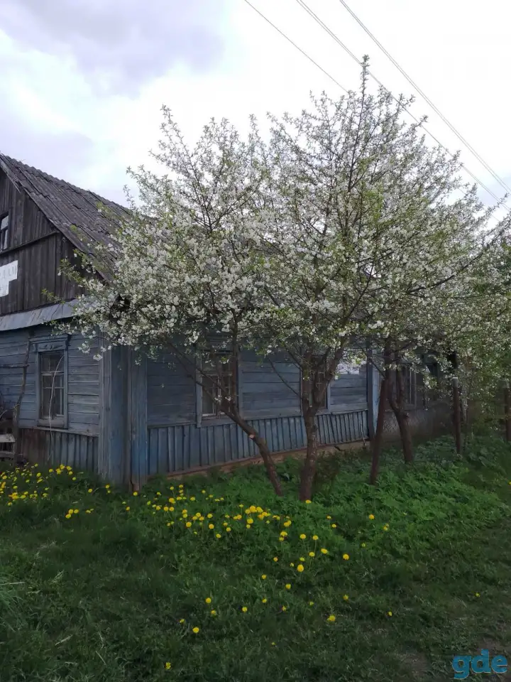 Продам жилой дом Чашникский район, д. Большие Смольянцы, фотография 4