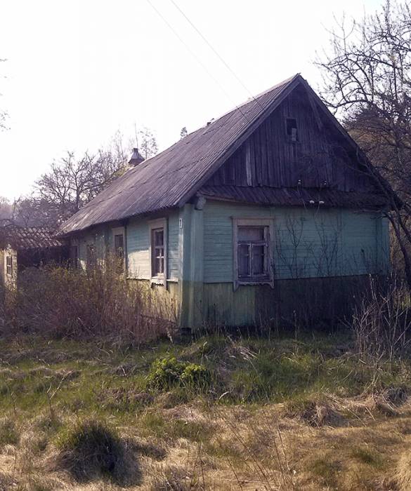 Деревянный дом в д. Боровая, фотография 1
